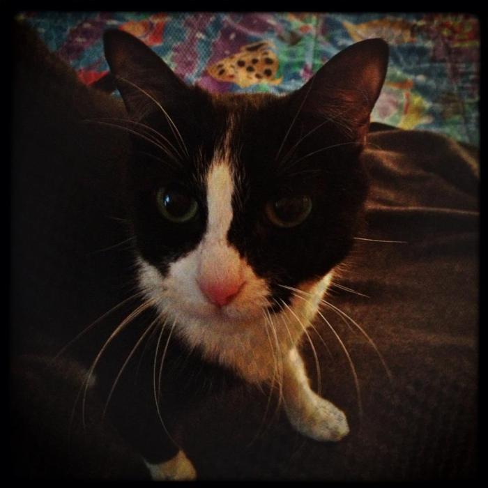 557068_10151174953370009_416790065_n