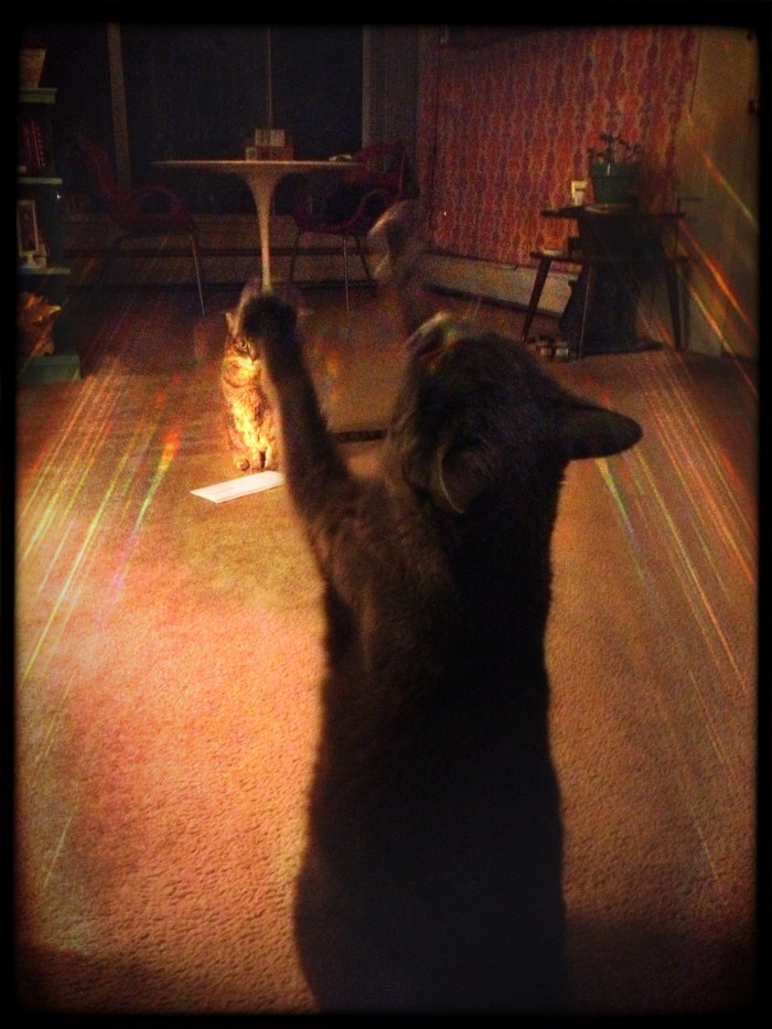 Come over here and say that to my FACE!