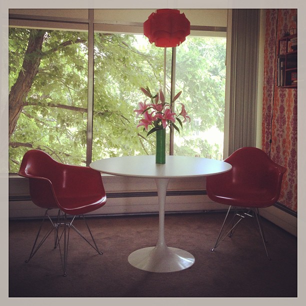 1011891_10151476082980009_472995656_n