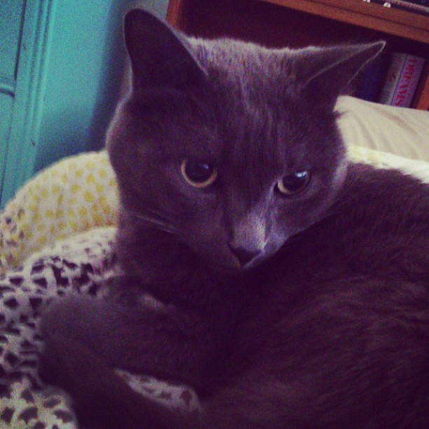 993645_10151508527410009_1543811254_n